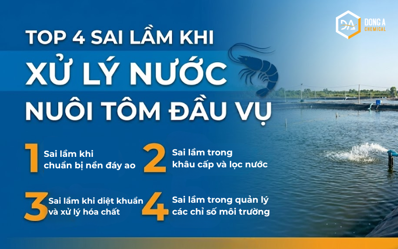 TOP 4 Sai lầm khi xử lý nước nuôi tôm đầu vụ